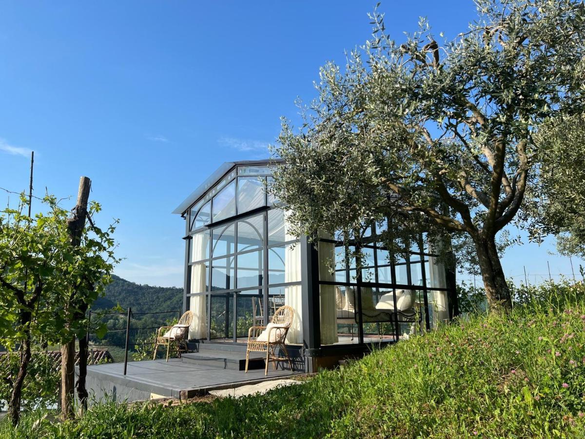Agriturismo Il Conte Vassallo Miane Экстерьер фото
