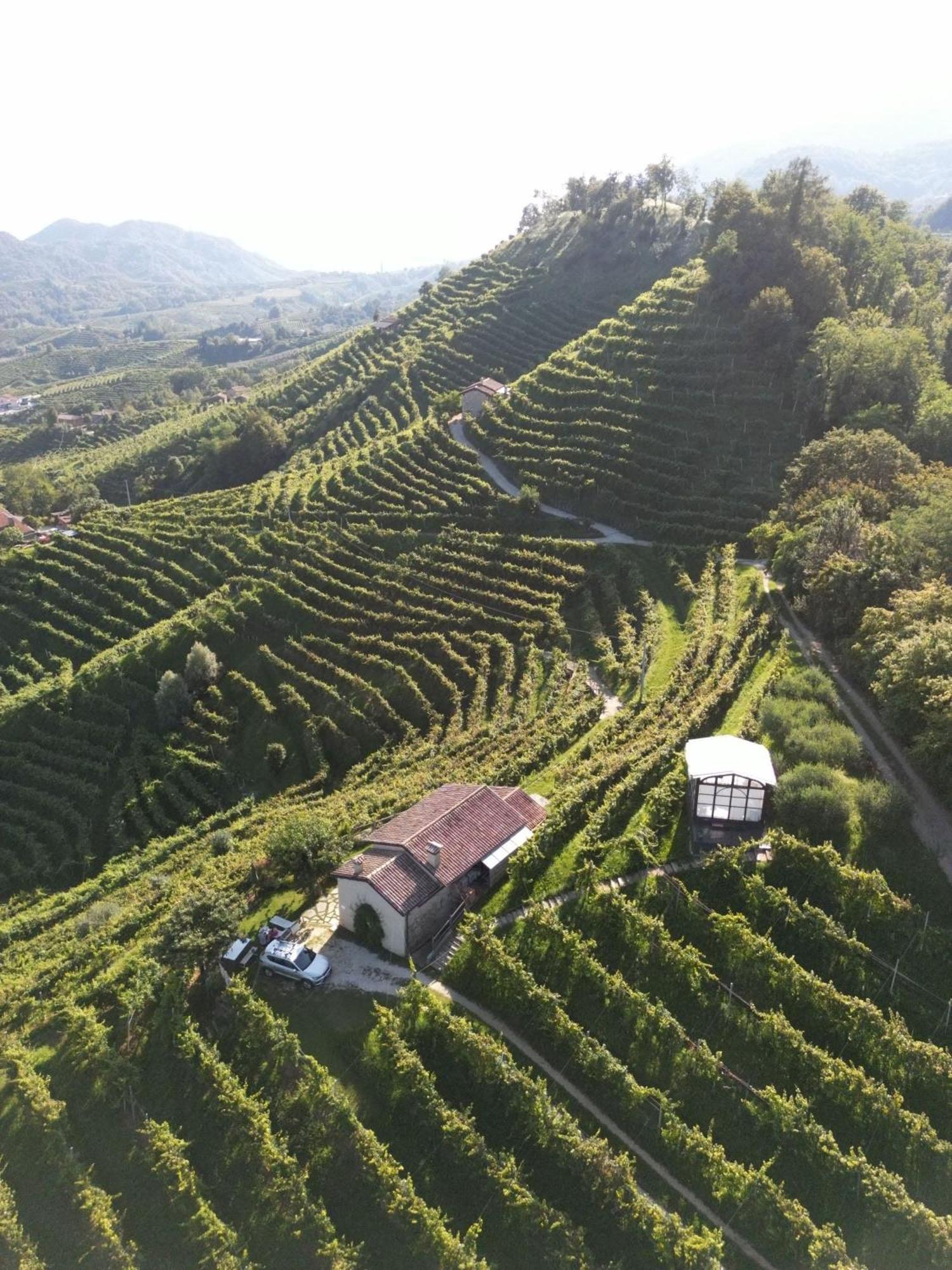 Agriturismo Il Conte Vassallo Miane Экстерьер фото